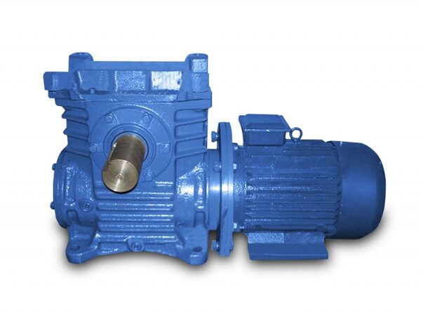 Мотор-редуктор 5МЧ2-100